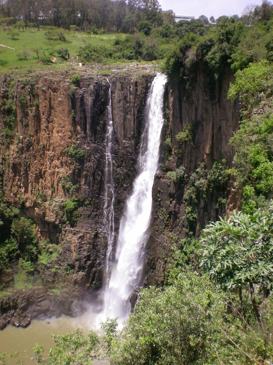 waterfall, howick falls, umgeni, cliff, howick, landscape, river, african, cascade, cliffs, dangerous, falls, rocks, grass, natural, wet, scenic, nature, plants, outdoor, midlands, forest, foliage, environment, rockface, roar, high, kwazulu-natal, rapids